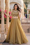 Royal Olive Gold Embellished Lehenga Set